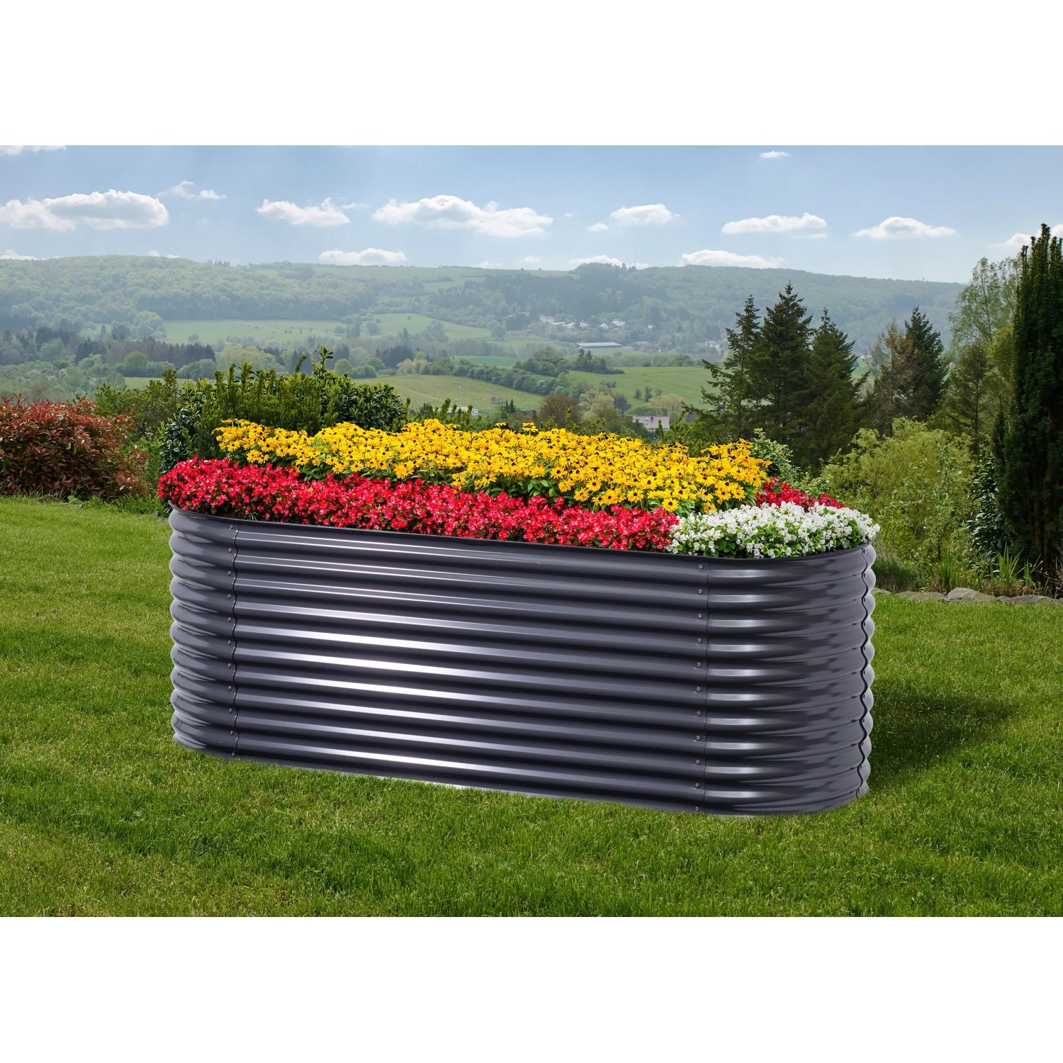 Floraworld Hochbeet Welle, 240 cm, anthrazit, bepflanzt mit roten, gelben und weißen Blumen im Garten.