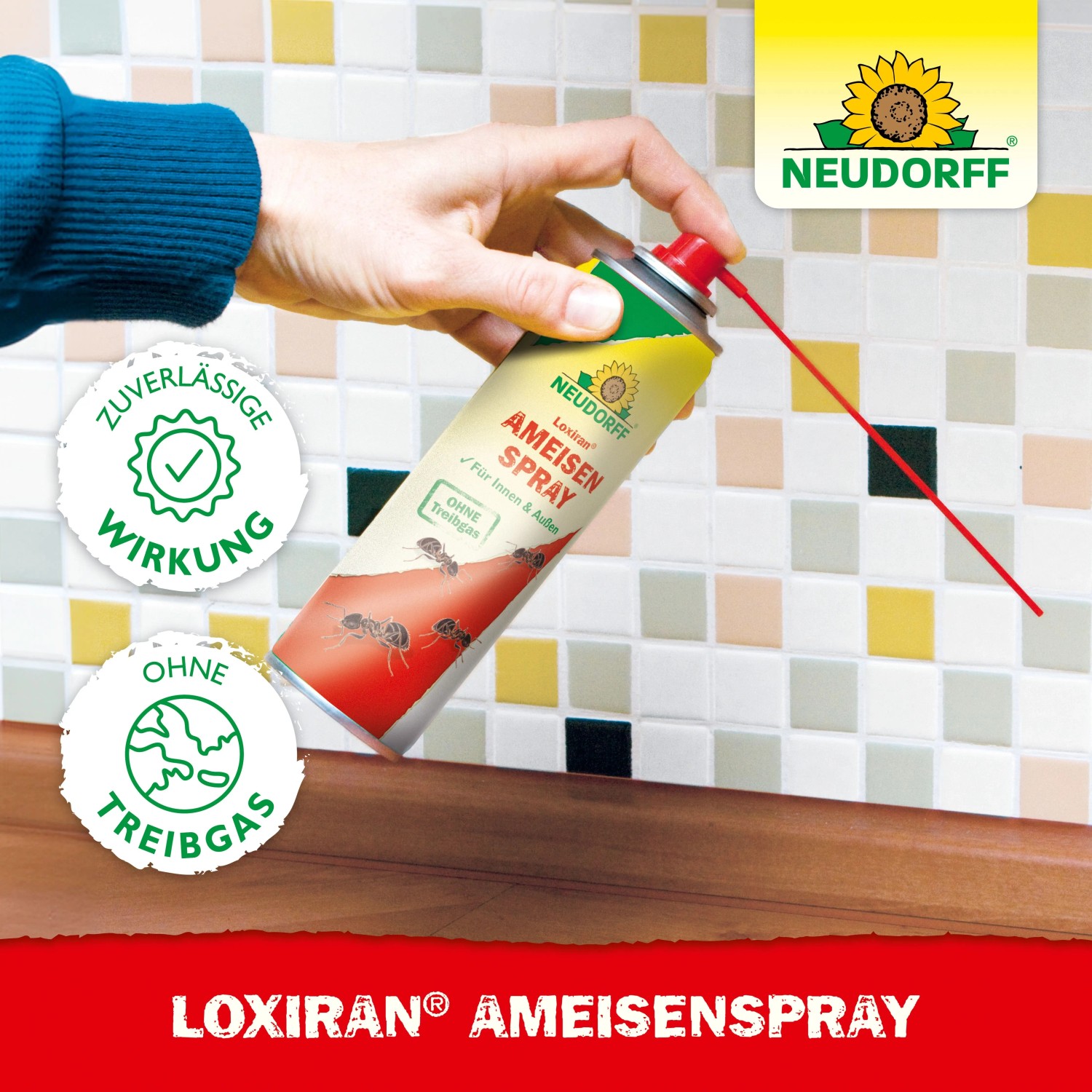 Neudorff Loxiran Ameisenspray 500ml in Anwendung gegen Ameisen.