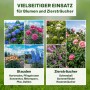 Grüne Metall-Strauchstützen stützen Hortensien, Rosen und andere Blumen. Vielseitige Pflanzenhalter für Stauden und Ziersträucher.