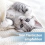 Graue Katze, eingewickelt in eine weiße Decke, empfohlen von Tierärzten. Felisept Ohrpflege.