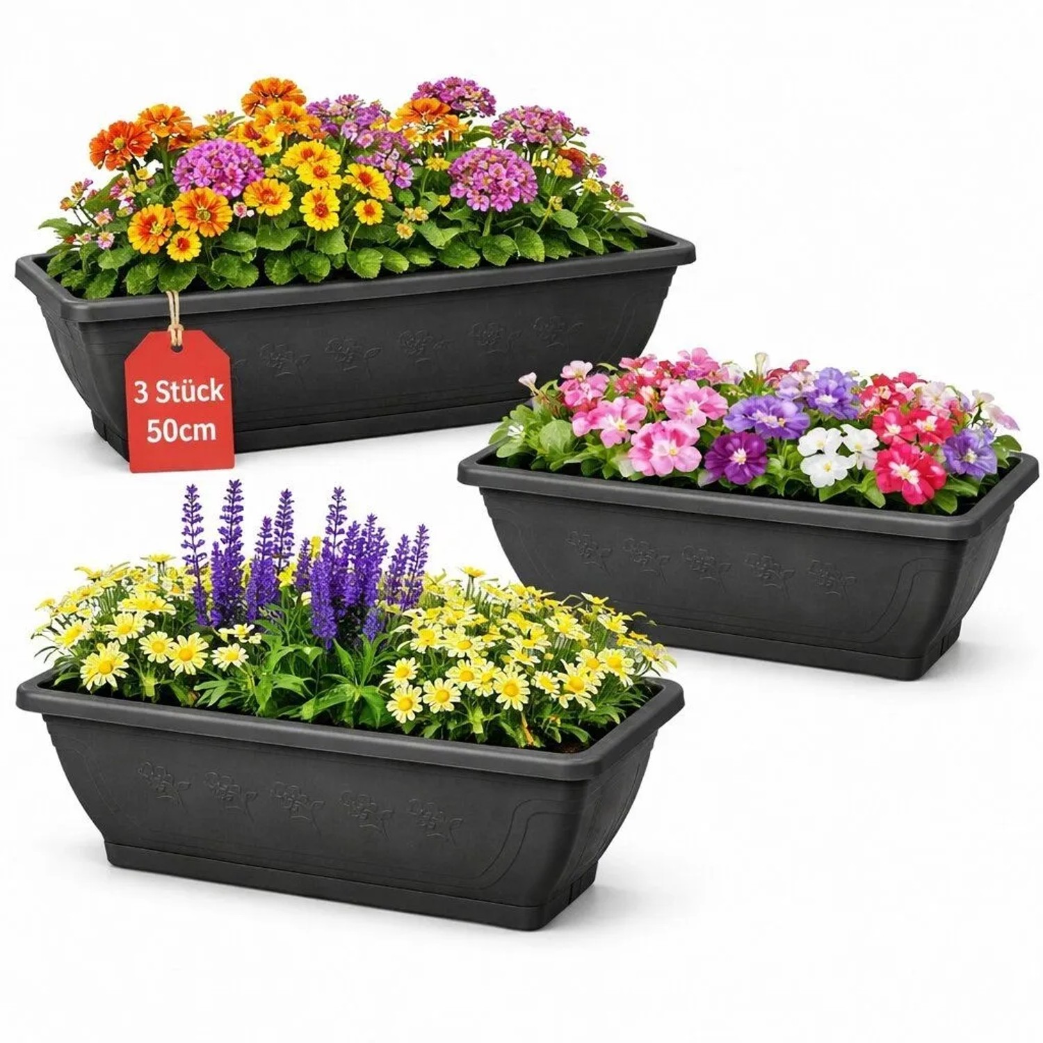 BigDean 3x Blumenkasten Mit Abnehmbarem Untersetzer Anthrazit 50 Cm Lang Aus Bruchsicherem Kunststoff Pflanzkasten Mit Wasserspeicher Für Innen