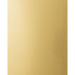 WALLFACE Wandpaneel in Gelbgold gebürstet, Metall Dekor für die Wandgestaltung.