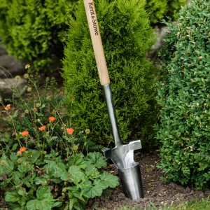 Kent & Stowe Zwiebelpflanzer mit Eschenholz-Griff im Beet. Gartenhandgerät zum Pflanzen von Blumenzwiebeln.