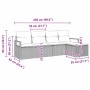 Beiges 5-teiliges Garten-Sofa-Set aus Poly Rattan mit Maßen.