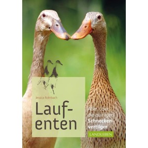 Laufenten