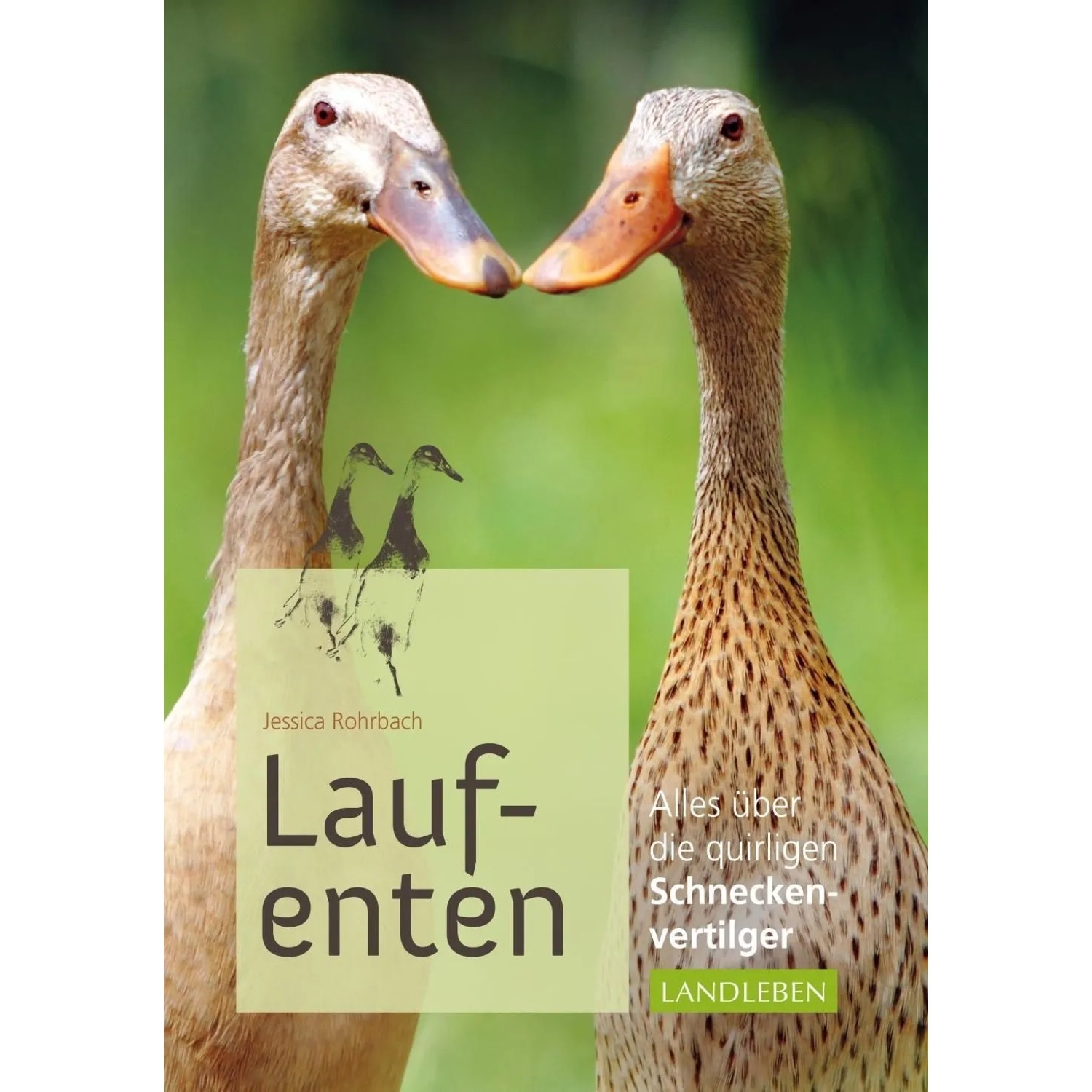 Thumbnail - Laufenten
