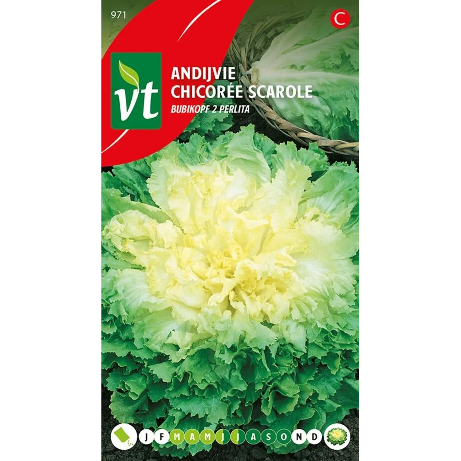 Endivie 'Perlita' Saatgut ca. 2 g Knackig
