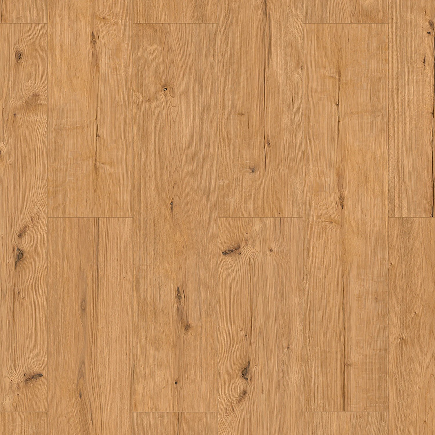Classen XL Laminat 8 mm Eiche Natur, wasserfest, mit Holzoptik und Fugen.