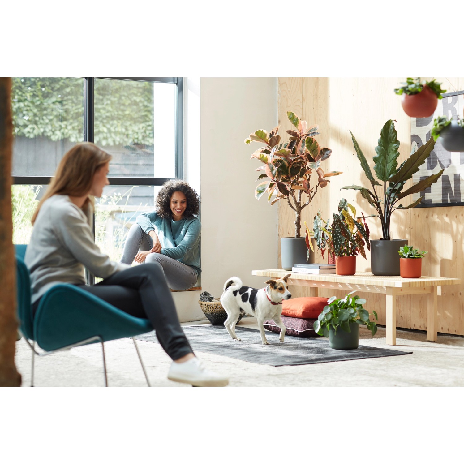 Anthrazitfarbener Elho Blumentopf B.For Soft (Ø 16 cm) mit Pflanzen in Wohnraum-Szene.