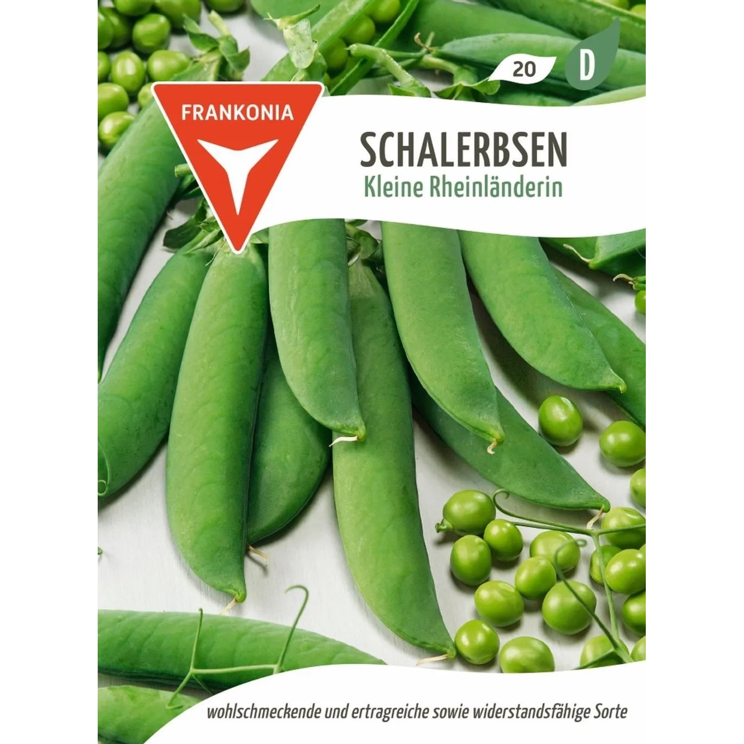 FRANKONIA Schalerbse Kleine Rheinländerin
