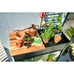 Juliana Gewächshaus Urban Vertical mit Pflanzen, Töpfen und Gießkanne auf Balkon.