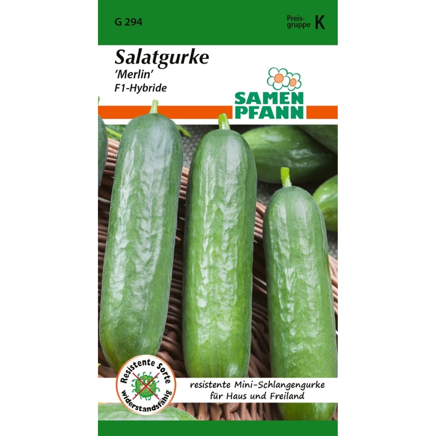 SAMEN PFANN Salatgurke Merlin F1