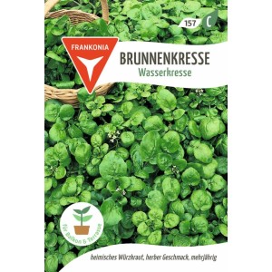 FRANKONIA Brunnenkresse Wasserkresse