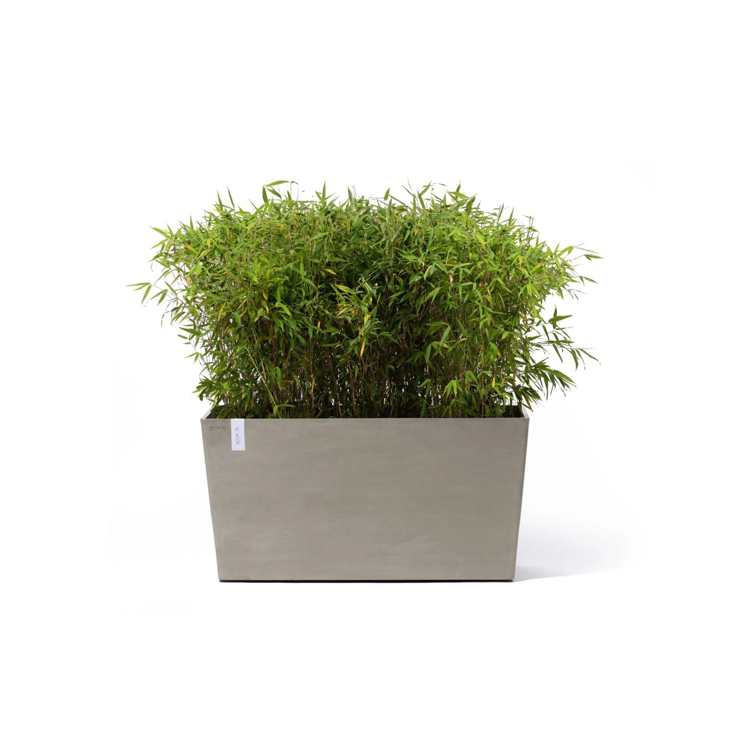 blumenkasten ton grau Blumenkasten, Terra