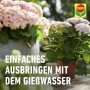 Compo Blühpflanzendünger 1 l_9