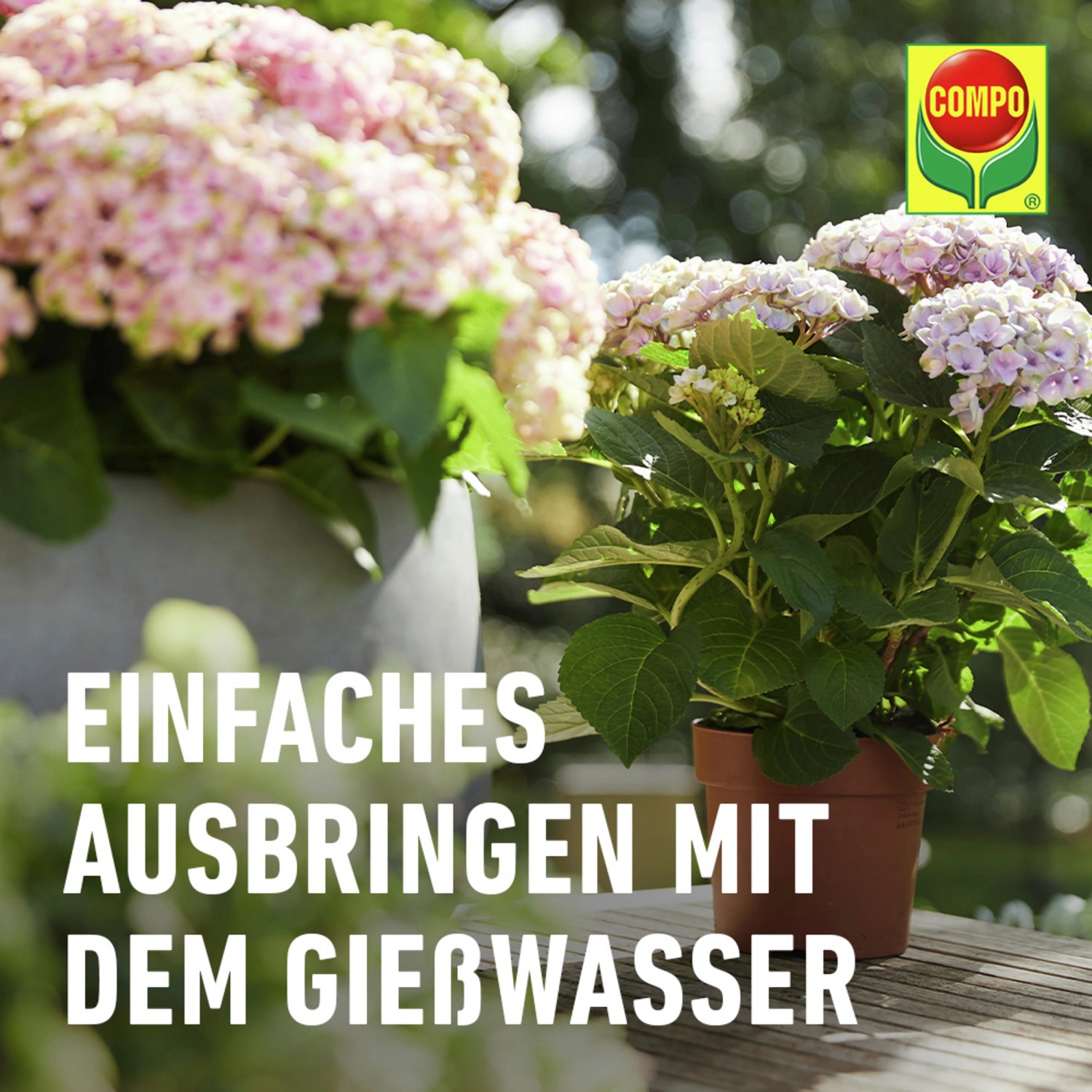 Compo Blühpflanzendünger 1 l_9