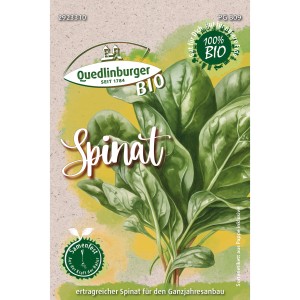 Bio-Spinat Dunkelgrün Samen von Quedlinburger für den Anbau im Garten.