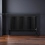 Schwarzer 2-Säulen Heizkörper (600x1012mm) vor dunkler Wand. Traditionelles Design für wohlige Wärme.