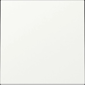 Gira System 55 Zentralplatte in Reinweiß für Schalter und Taster.