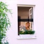 Frau gießt Blumen hinter anthrazitfarbenem tesa Fliegengitter Fenster Open/Close.