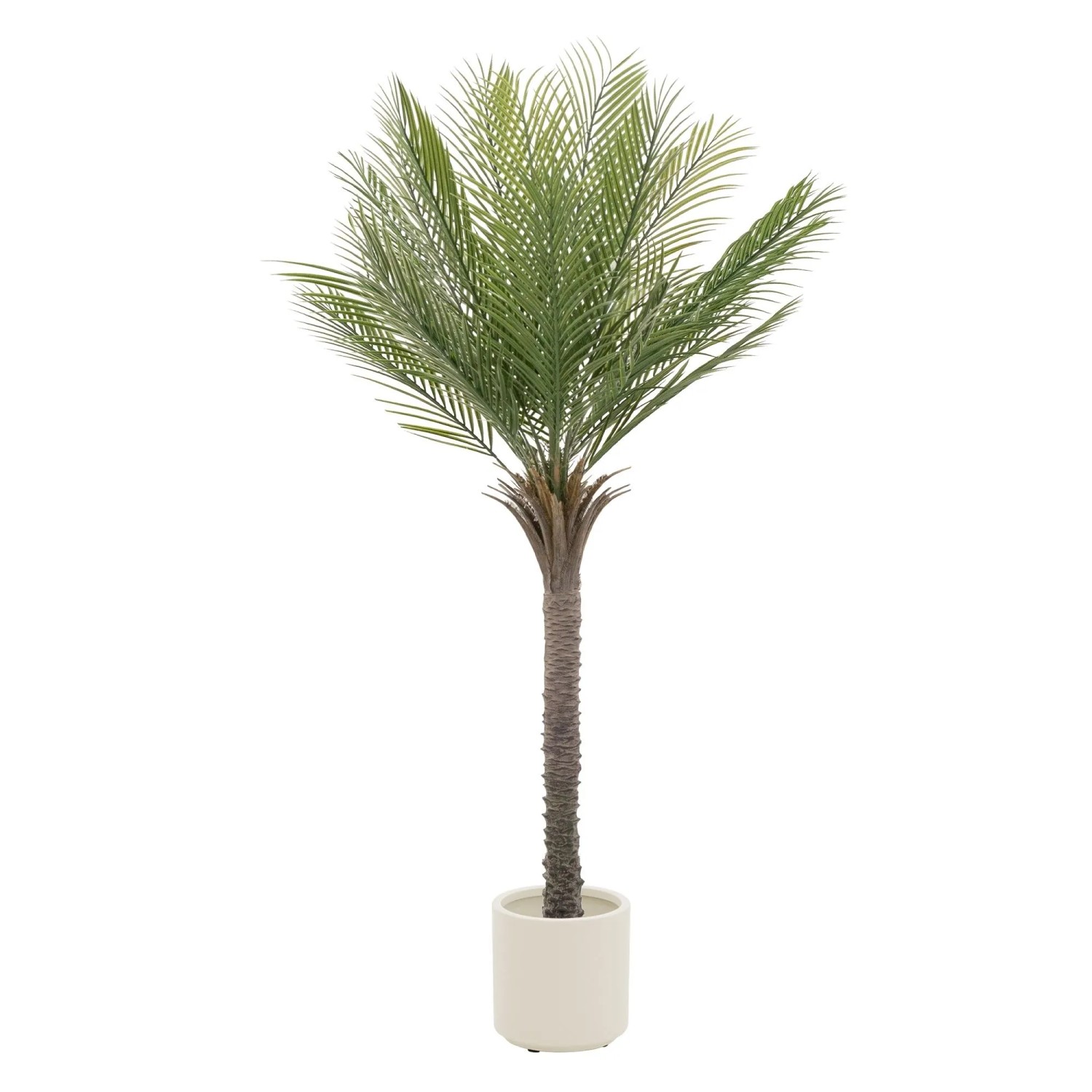 ML-Design Künstliche Palme 150 cm Groß im Topf für Indoor/Outdoor günstig online kaufen