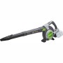 LUX Akku-Laubsauger/-bläser A-LS-20/250-24, grau/grün, mit Akku. Für Laubarbeiten im Garten.