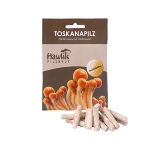 Hawlik Pilzbrut Myzel Dübelbrut Toskanapilze für Pilzzucht im Garten auf Holzstämmen