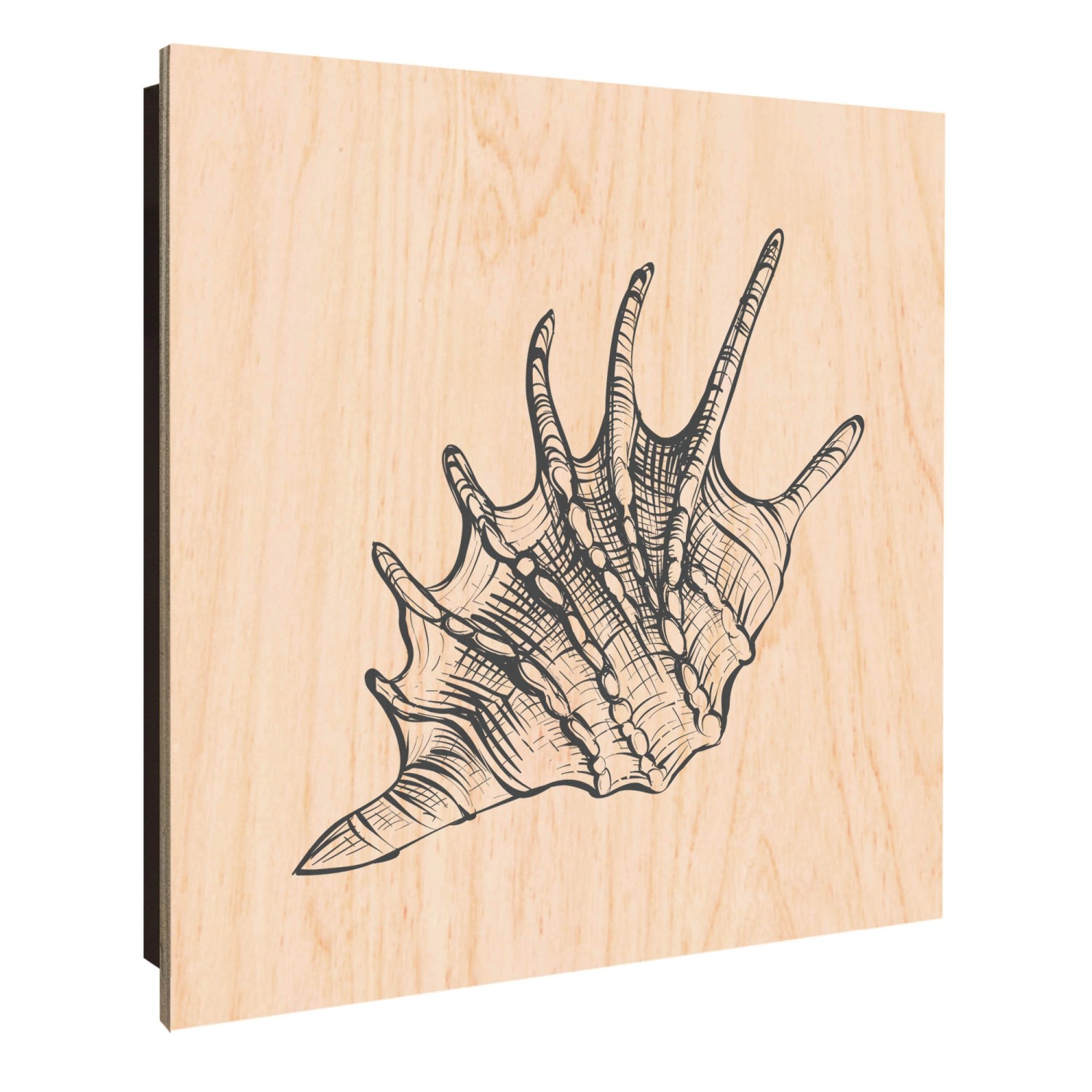 Banjado Großer Schlüsselkasten Holz 30x30cm Schwarz Scharnier Links 50 Hake günstig online kaufen