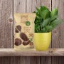Dr.Soil Pinienrinden Humus 1L Beutel für Hydrokultur und gesunde Pflanzen.