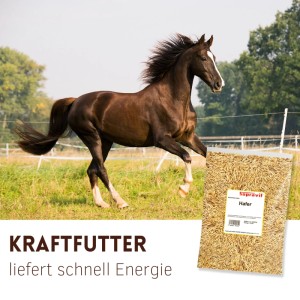 Supravit Hafer Futterhafer Pferdeenergiefutter