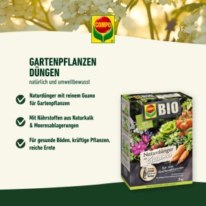 Compo Bio Naturdünger Guano 3 kg Packung für Gartenpflanzen
