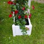 Weißer KHW Pflanzkasten mit Spalier und roter Kletterpflanze im Garten.