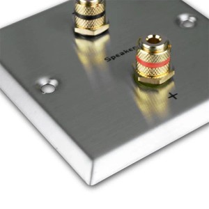 Dynavox LS Wand Anschlußblende Edelstahl 2x Bananenbuchse
