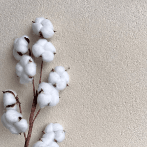 Detailaufnahme: Floxxan Baumwollputz Colorado 158, hellbeige, mit Baumwollzweig. Dekorative Tapete.