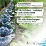 TTL GARDEN Pflanztunnel Bögen, 6er Set, im Einsatz über Gemüsebeet.