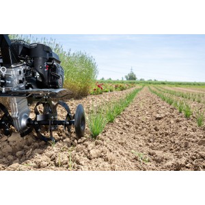 Al-Ko MH 770 Comfort Benzin-Motorhacke bei der Bodenbearbeitung im Feld.