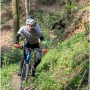 Fischer E-Bike Montis 6.0i: Zwei Mountainbiker auf einem Waldweg bergauf.