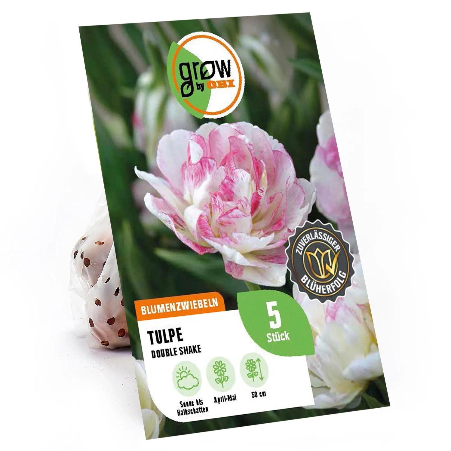 GROW by OBI Blumenzwiebeln Tulpen Double Shake Rosa-Weiß