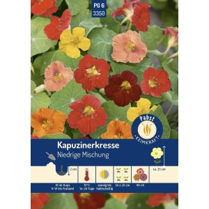 Pabst Keimkraft Kapuzinerkresse Niedrige Mischung mit bunten Blüten.