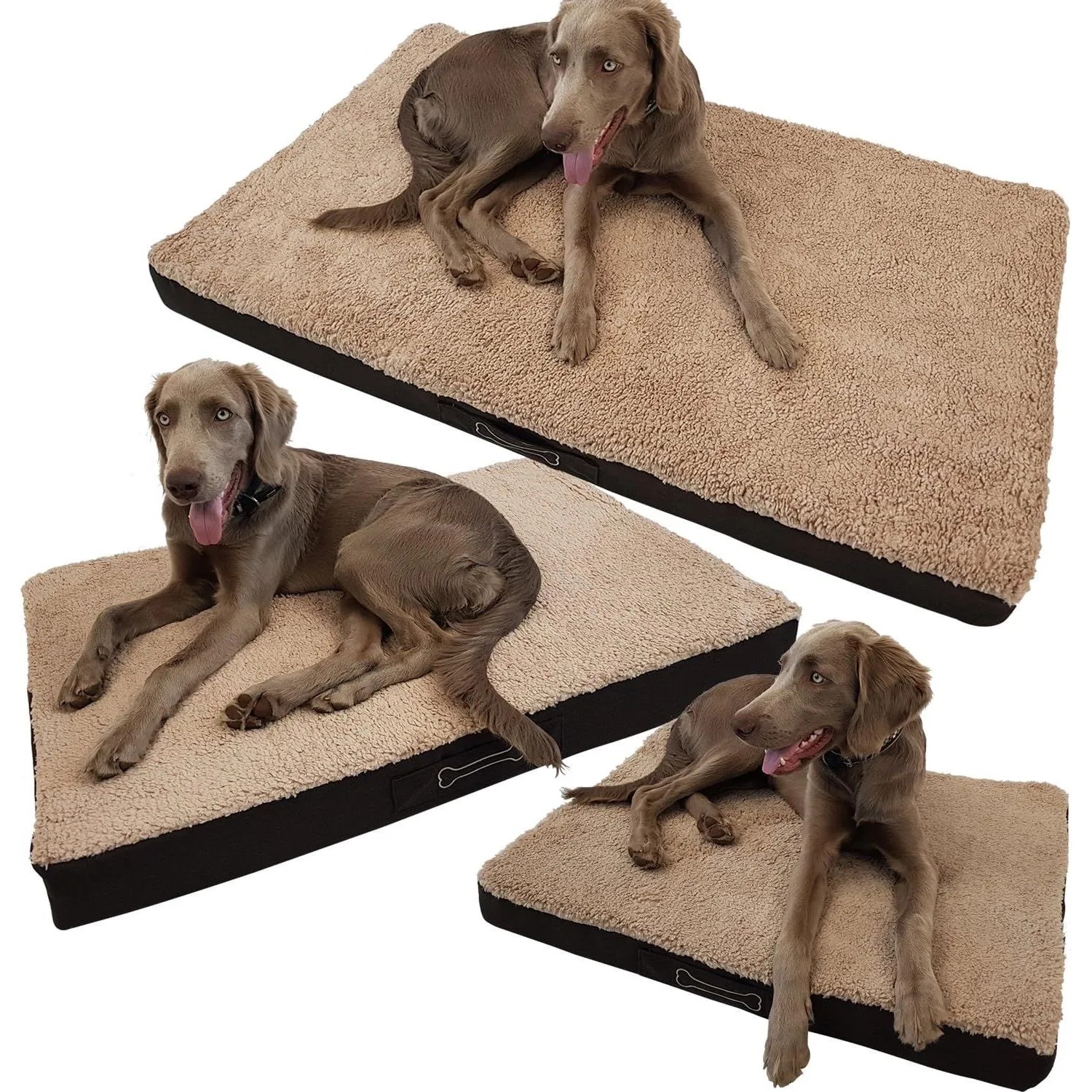 Petsation BENJI Hundebett 120cm mit Hund, orthopädisches Hundesofa mit Memory Foam.
