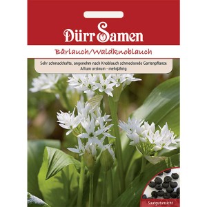Dürr Samen Bärlauch/Waldknoblauch Saatgut mit weißen Blüten und grünen Blättern.
