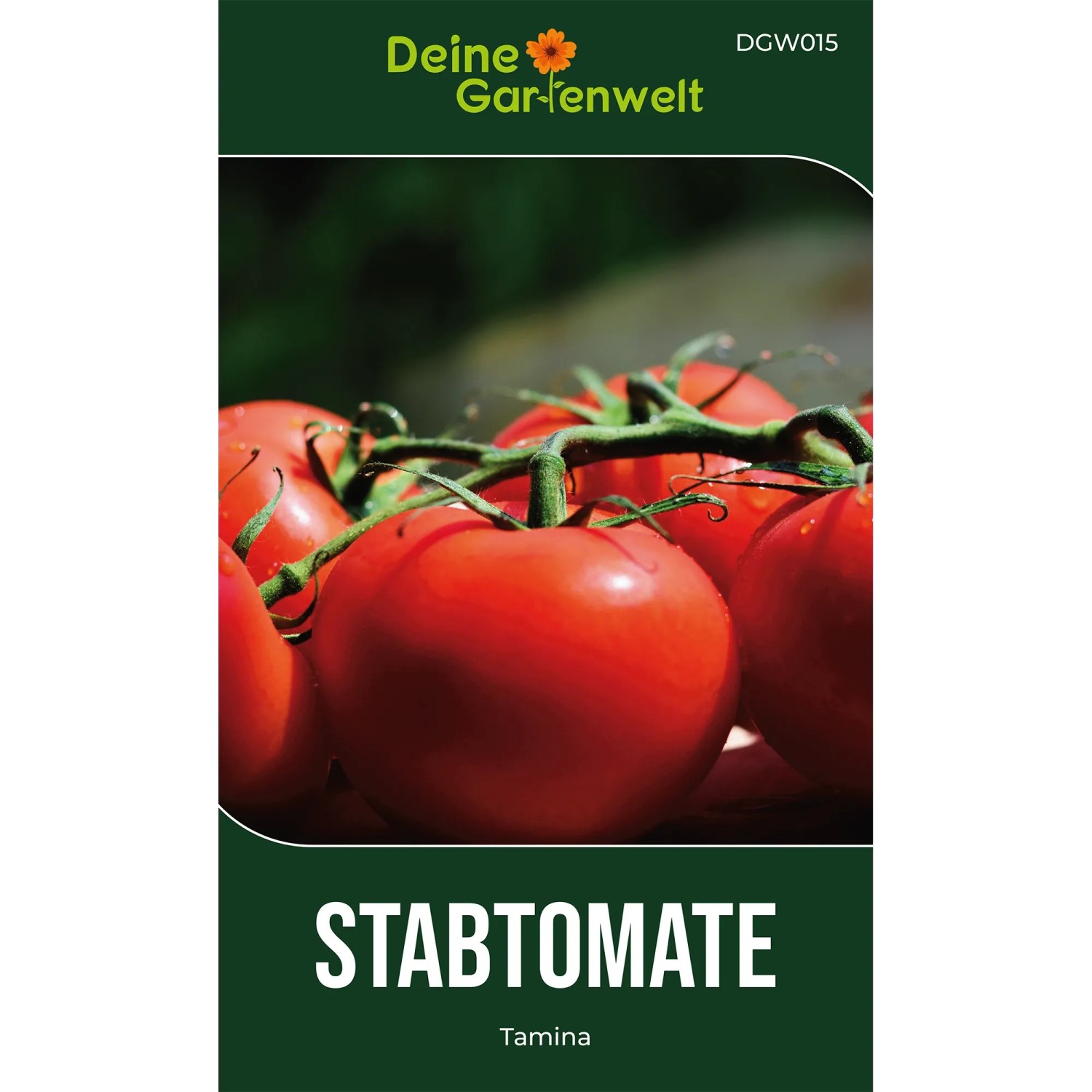 Samenpackung Stabtomaten Tamina mit reifen roten Tomaten am Strauch. Gemüsesamen für hohen Ertrag im Garten.