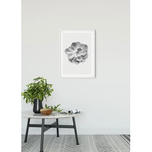 Komar Wandbild Succulent Aeonium, 50x70 cm, Nahaufnahme einer Sukkulente im weißen Rahmen.
