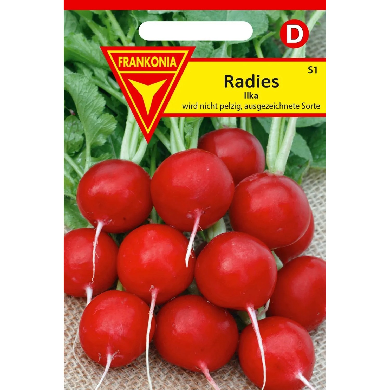 FRANKONIA Radies Ilka Kleinpackung