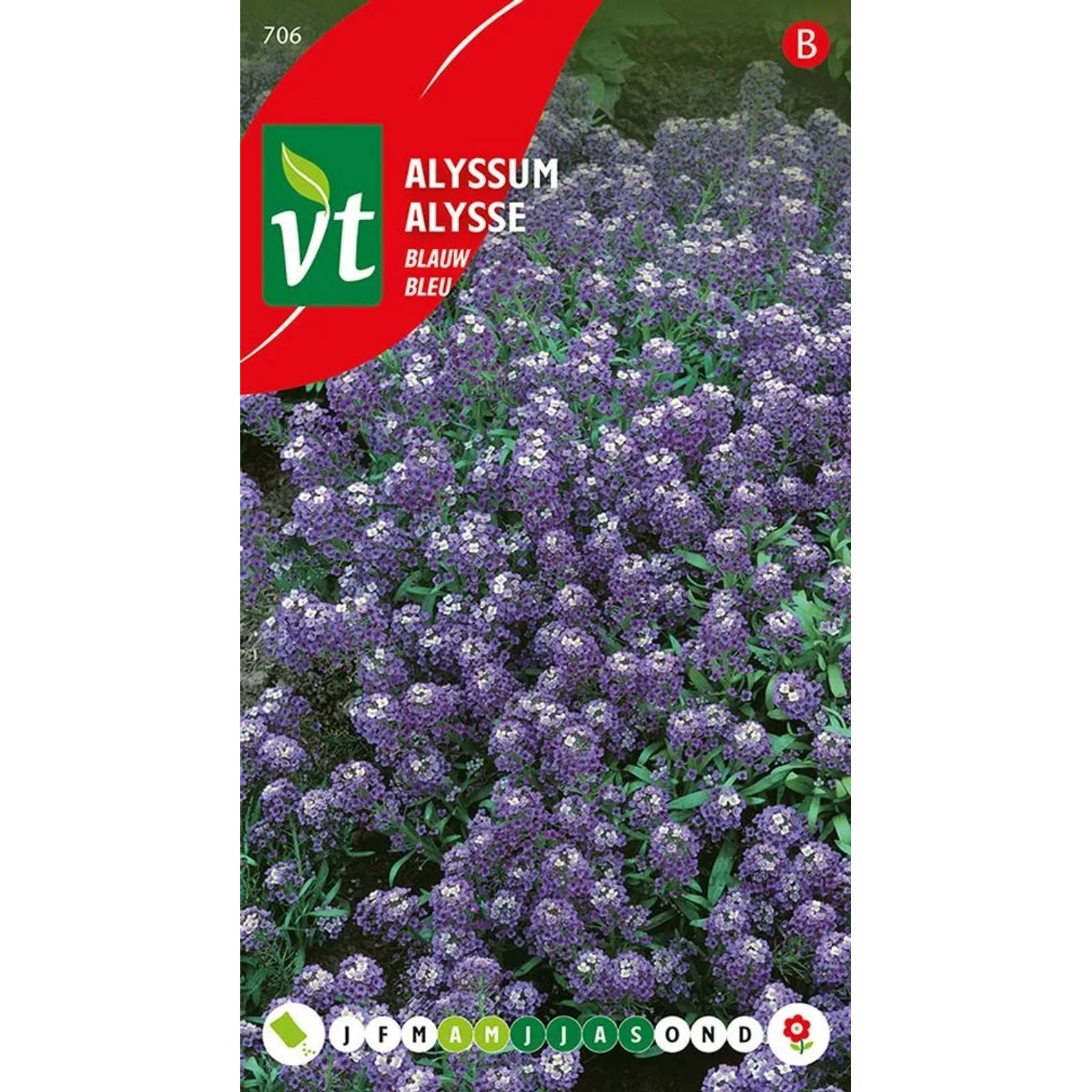 Blaues Steinkraut Samen Ca. 0,5 g Blaue Blüten