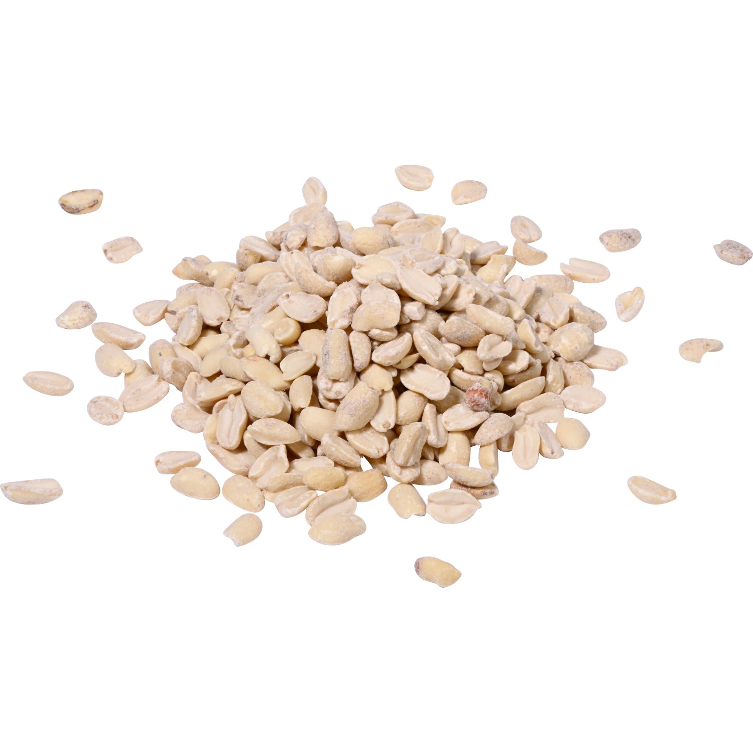 Futterbauer Erdnüsse Blanchiert 5kg - Weiße Erdnusskerne Für Vögel & Eichhörnchen