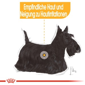 Illustration: Royal Canin Dermacomfort Mini Hundefutter für empfindliche Haut.