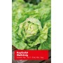 Frischer Kopfsalat Maikönig mit rötlichen Blatträndern, ideal für den Anbau im eigenen Garten.