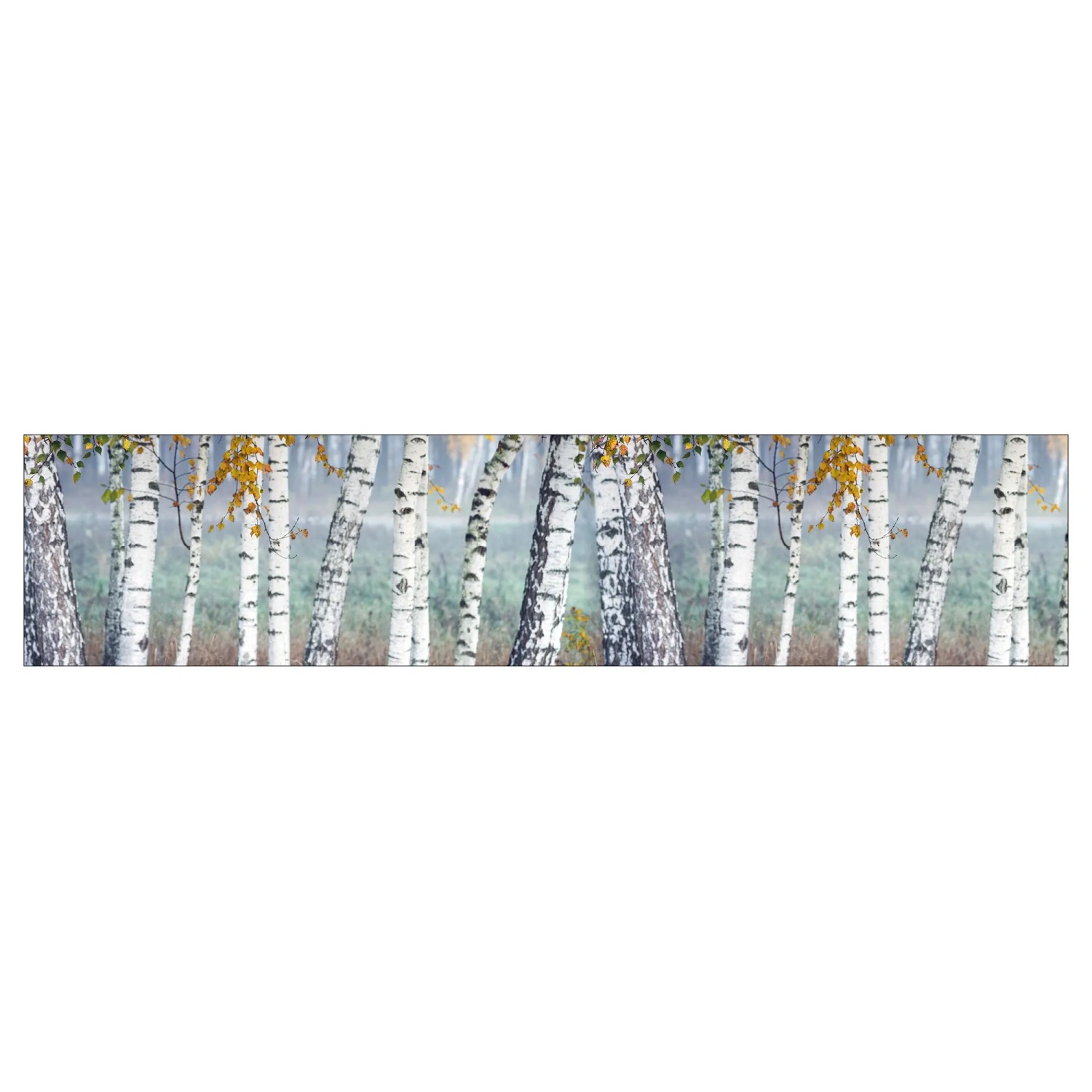 MySpotti Küchenrückwand Profix Cucina Herring Birkenwald 270 x 60 cm Birke