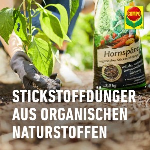 Compo Bio Hornspäne 2,5 kg: Hand düngt Pflanze mit organischem Stickstoffdünger.